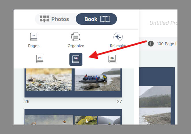 Easily choose number of pages